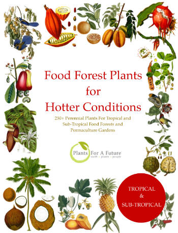 Food Forest Book