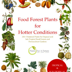 Tropical Food Forest Book