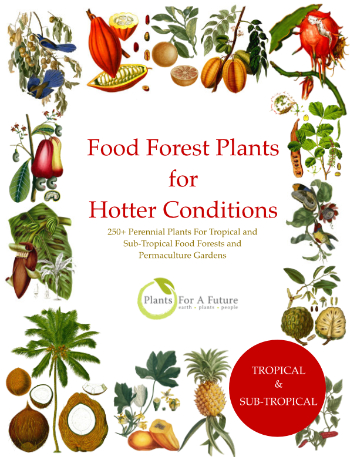 Tropical Food Forest Book