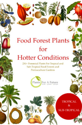 Tropical Food Forest Book